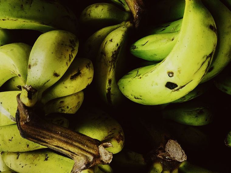 Banana — Cavendish G9, harvested to caliper