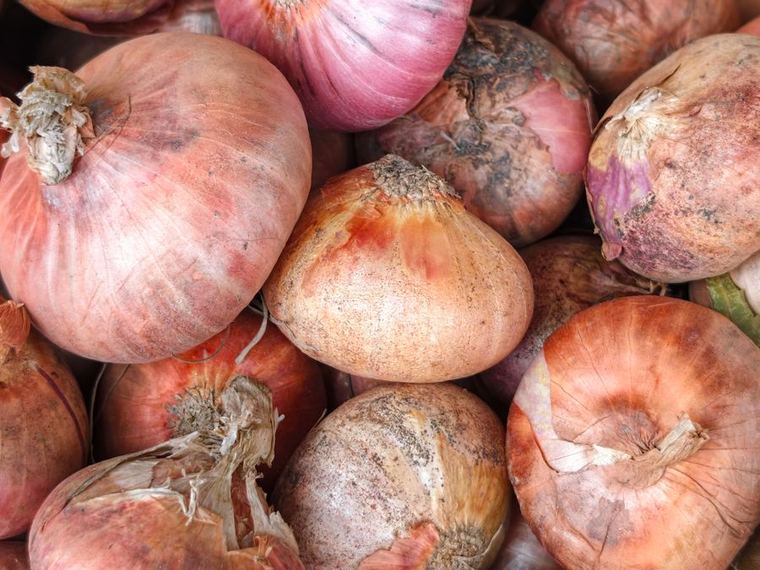 Onion — Nashik red, calibre graded